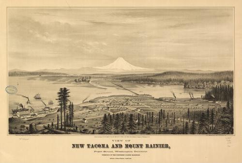 E79 - View of New Tacoma and Mount Rainier Puget Sound Washington Territory - Eli Sheldon Glover - 1878
