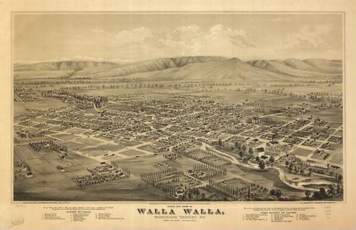 E79 - Birds Eye View of Walla Walla Washington Territory - Eli Sheldon Glover - 1876