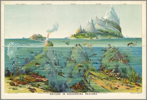E84 - Nature in Descending Regions.