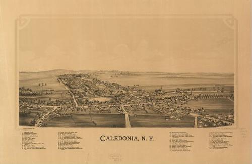 E95 - Caledonia New York