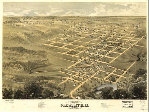 E107 - Birds eye view of the city of Pleasant Hill Cass Co Missouri  - 1869