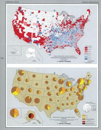 E114 - Ethnic Population