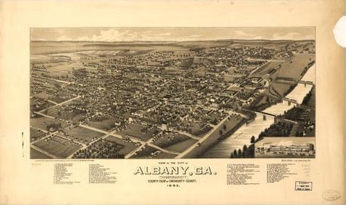 E123 - View of the city of Albany Georgia - 1885