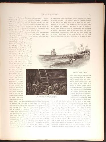 E188 – Picturesque Australia 1888 – 0125