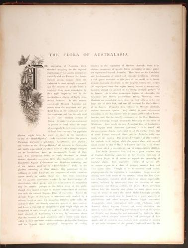  E188 – Picturesque Australia 1888 – 0165