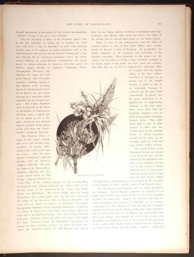  E188 – Picturesque Australia 1888 – 0168