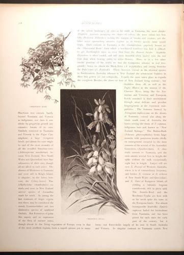  E188 – Picturesque Australia 1888 – 0173