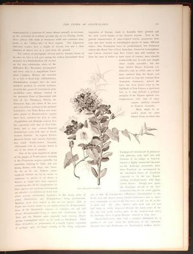  E188 – Picturesque Australia 1888 – 0176