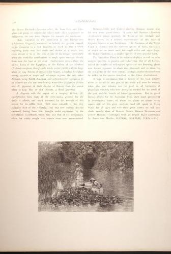  E188 – Picturesque Australia 1888 – 0177