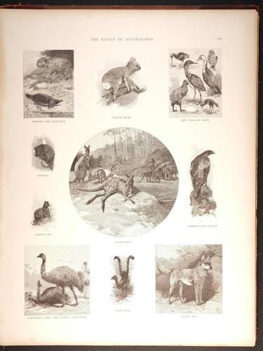  E188 – Picturesque Australia 1888 – 0180