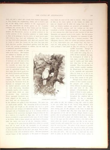  E188 – Picturesque Australia 1888 – 0182