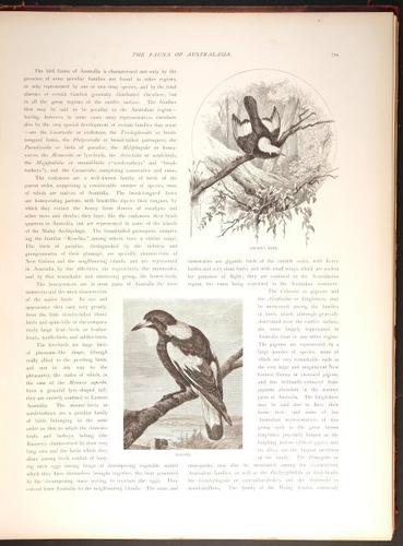  E188 – Picturesque Australia 1888 – 0184
