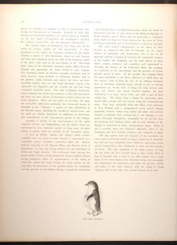  E188 – Picturesque Australia 1888 – 0185