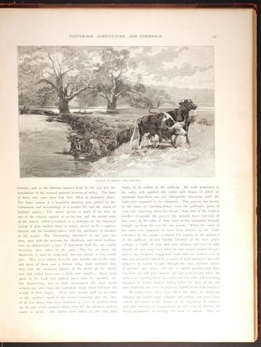 E188 – Picturesque Australia 1888 – 0215
