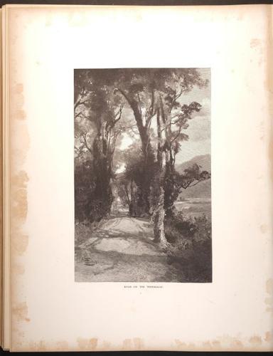 E188 – Picturesque Australia 1888 – 0216