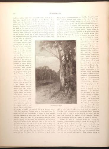 E188 – Picturesque Australia 1888 – 0233
