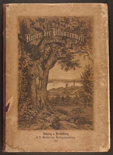 E190 – Eduard Mielck 1863 – 0316