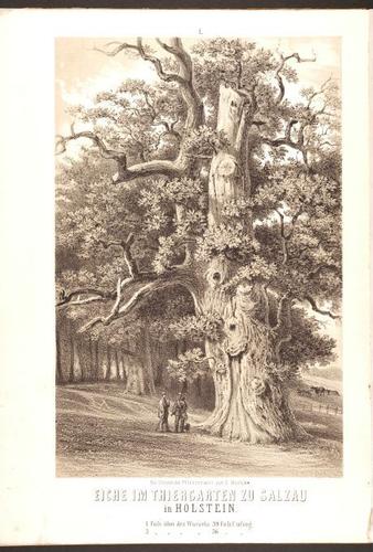 E190 – Eduard Mielck 1863 – 0319