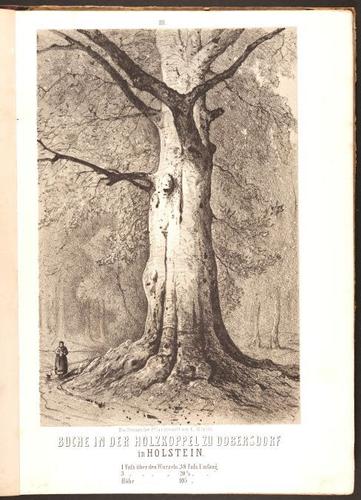 E190 – Eduard Mielck 1863 – 0322