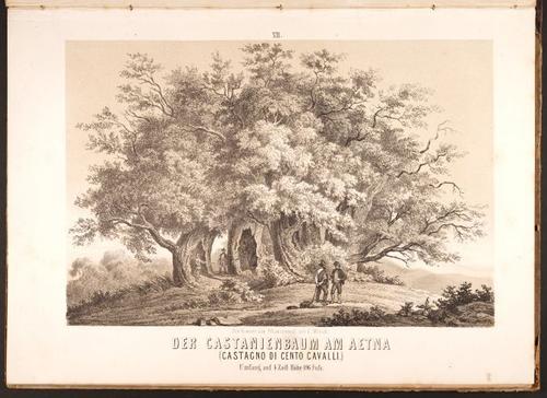 E190 – Eduard Mielck 1863 – 0325