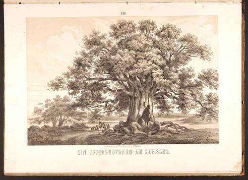 E190 – Eduard Mielck 1863 – 0326
