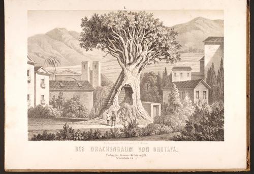 E190 – Eduard Mielck 1863 – 0327