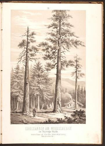 E190 – Eduard Mielck 1863 – 0328