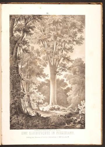 E190 – Eduard Mielck 1863 – 0329