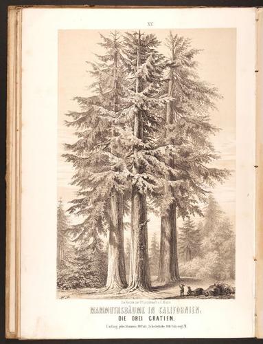 E190 – Eduard Mielck 1863 – 0335
