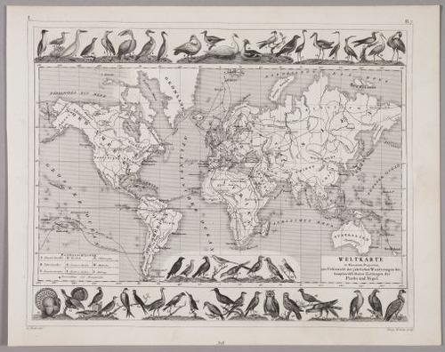 E219 - Various Data Visualization - 1306