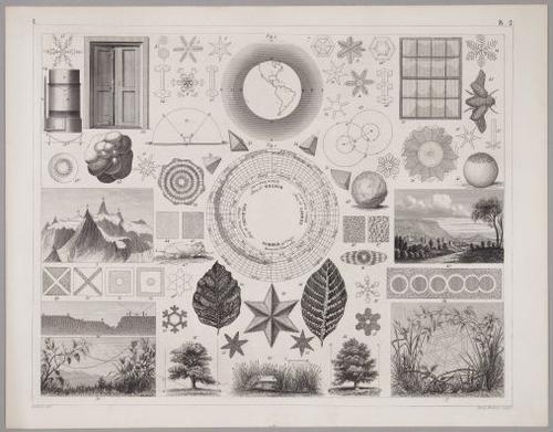 E219 - Various Data Visualization - 1308