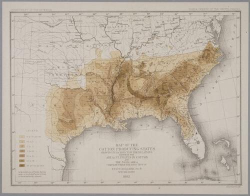 E219 - Various Data Visualization - 1335