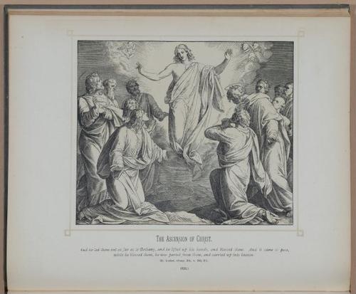 E245 - Bible Pictures 1890 - 1981