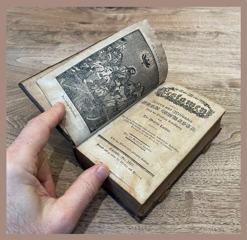 E247 - Das Neue Testament - i4138