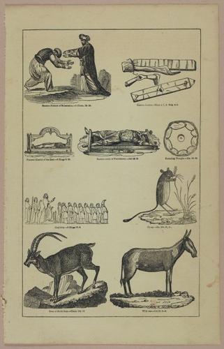 E250 - Illustrations of the Holy Scriptures 19th Century - 2158