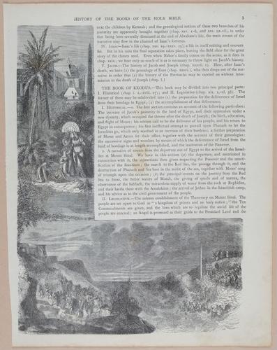 E251 - Pictorial Family Bible - 19th Century - i2415