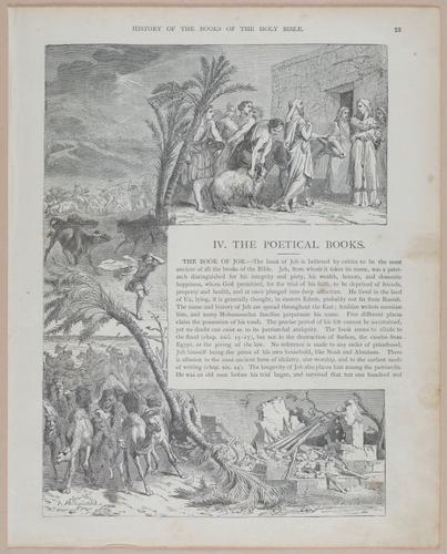 E251 - Pictorial Family Bible - 19th Century - i2433