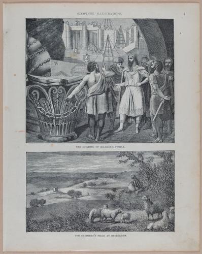 E251 - Pictorial Family Bible - 19th Century - i2479