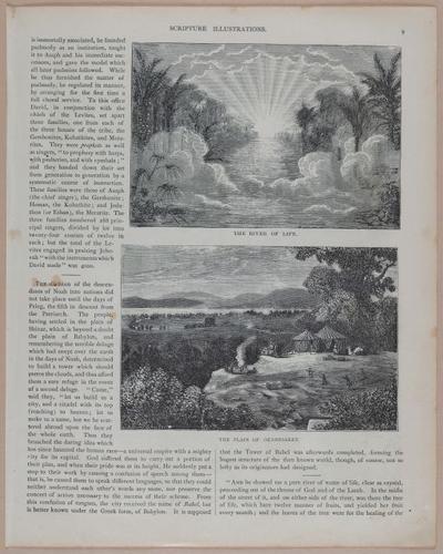 E251 - Pictorial Family Bible - 19th Century - i2481