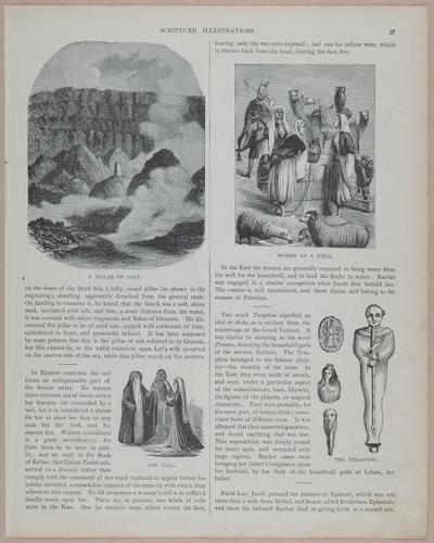 E251 - Pictorial Family Bible - 19th Century - i2503