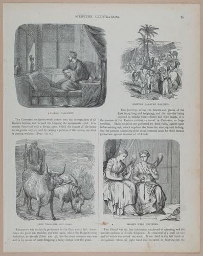 E251 - Pictorial Family Bible - 19th Century - i2511