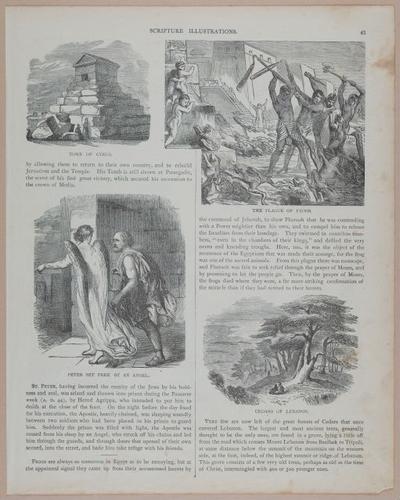 E251 - Pictorial Family Bible - 19th Century - i2519