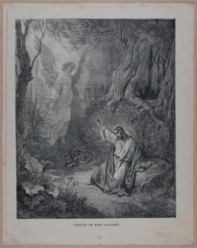 E251 - Pictorial Family Bible - 19th Century - i2331