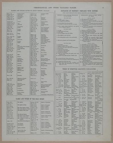 E251 - Pictorial Family Bible - 19th Century - i2343