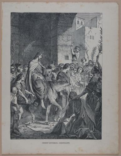 E251 - Pictorial Family Bible - 19th Century - i2357