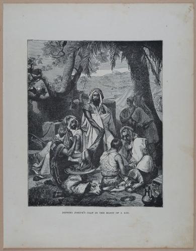 E251 - Pictorial Family Bible - 19th Century - i2366