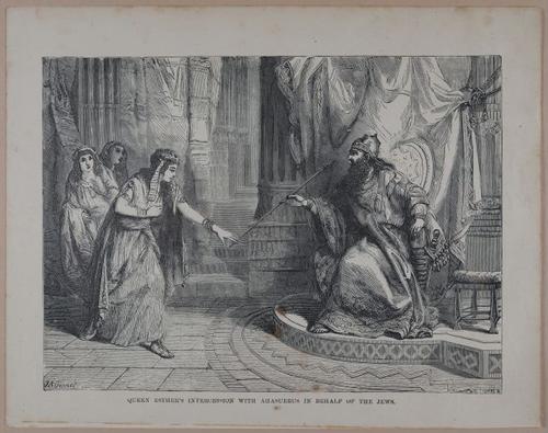 E251 - Pictorial Family Bible - 19th Century - i2377