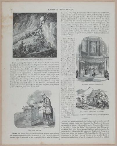 E251 - Pictorial Family Bible - 19th Century - i2518