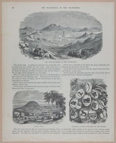 E251 - Pictorial Family Bible - 19th Century - i2536
