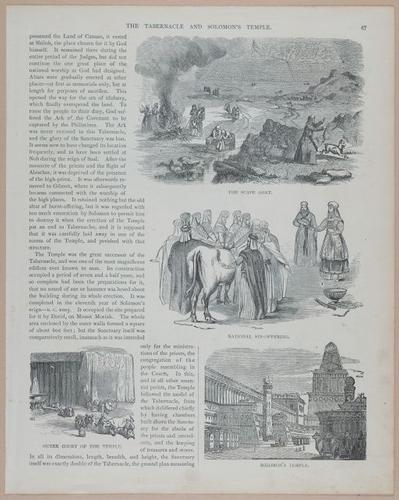 E251 - Pictorial Family Bible - 19th Century - i2543